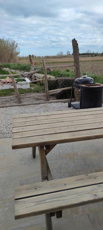 Appartement Au Coeur Des Rizieres Salin-de-Giraud Exterior foto